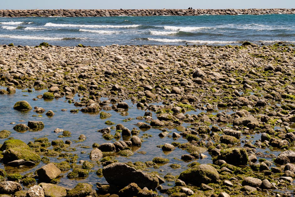 biofilms in water pipes photo or illustration for drinking water article