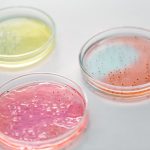 e coli water contamination photo or illustration for drinking water article