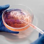 e coli water contamination photo or illustration for drinking water article