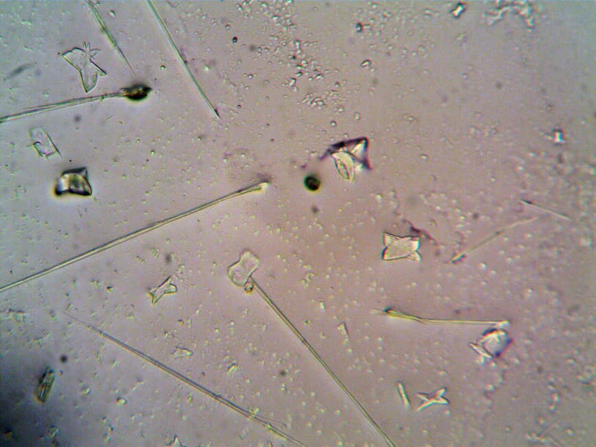 microplastics in drinking water photo or illustration for drinking water article