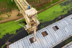 Pesticides in Drinking Water: Health Effects and Risks