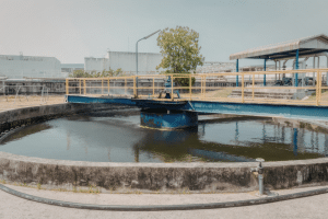 Disinfection in Water Treatment Systems