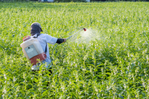 Pesticides in Drinking Water