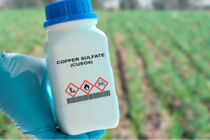 Pesticides in Drinking Water
