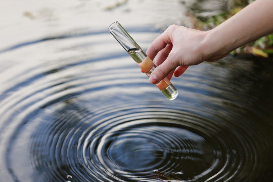 DIY Water Testing Methods: Complete Guide