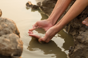 Global Freshwater Crisis
