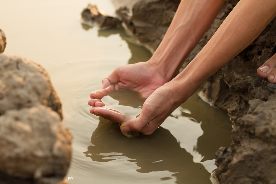 Global Freshwater Crisis