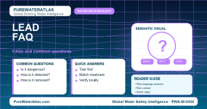 Lead FAQ infographic showing common questions