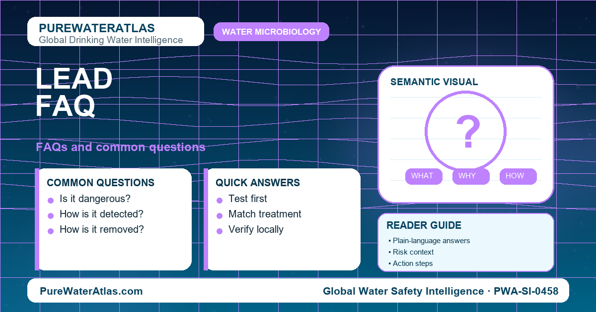 Lead FAQ infographic showing common questions