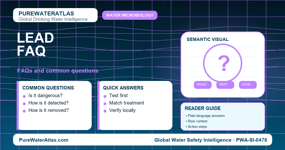 Lead FAQ infographic showing common questions