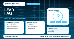Lead FAQ infographic showing common questions
