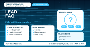Lead FAQ infographic showing common questions