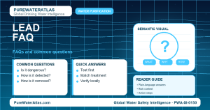 Lead FAQ infographic showing common questions