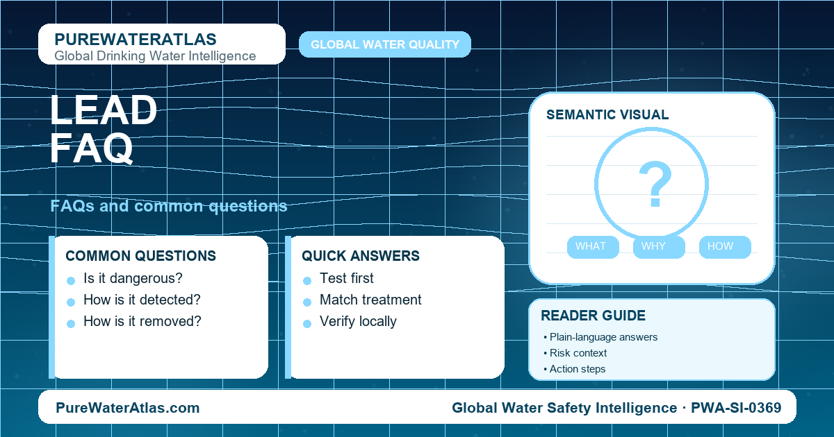 Lead FAQ infographic showing common questions