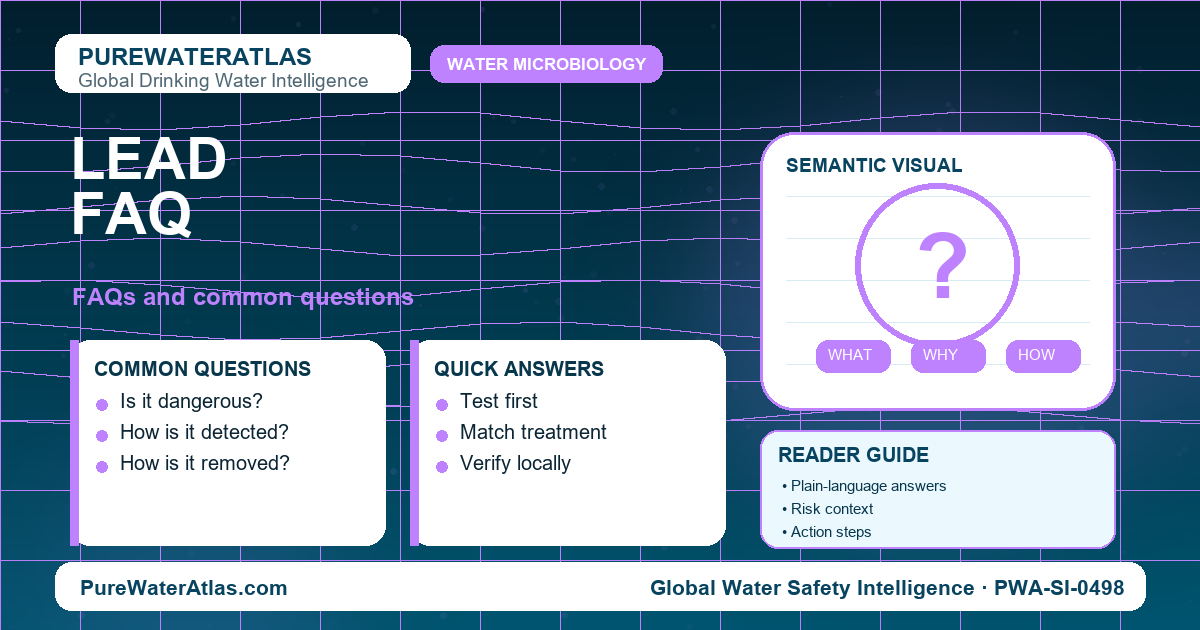 Lead FAQ infographic showing common questions