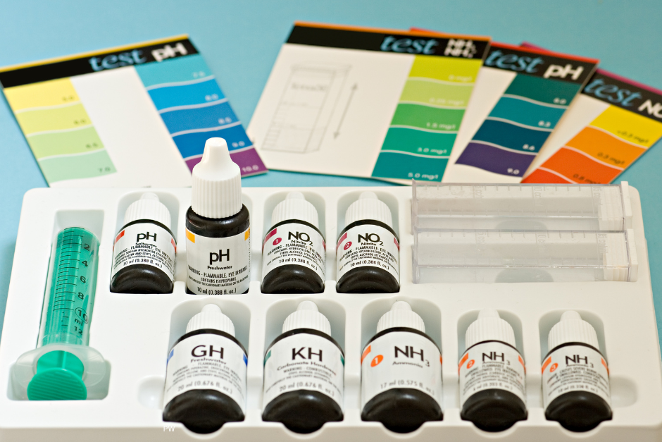 Best Water Testing Kits
