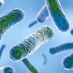 Legionella in Water Systems