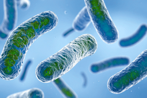 Legionella in Water Systems