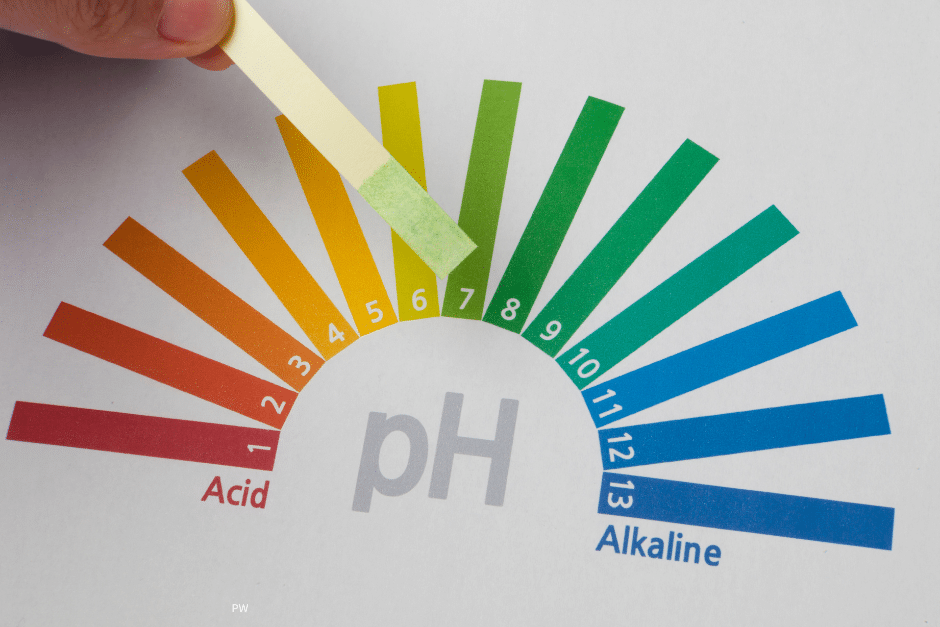 Water pH Explained Complete Guide